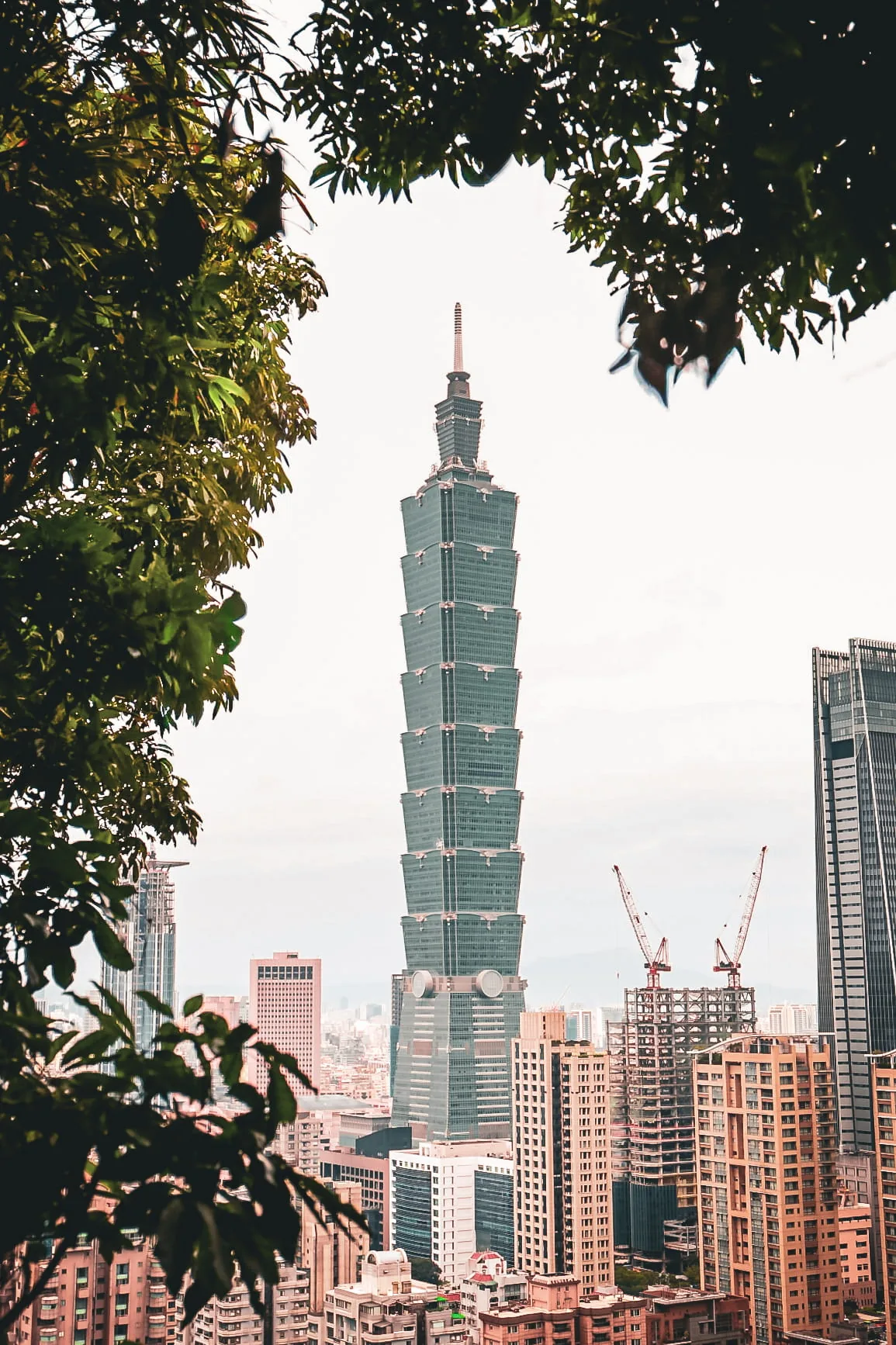 Sean Liao personal gallery photo 3